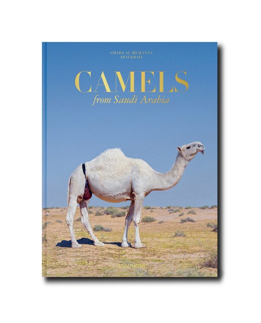 Camels from saudi arabia (classic) 2