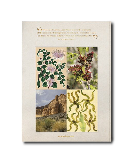 Alula flora (english) 3