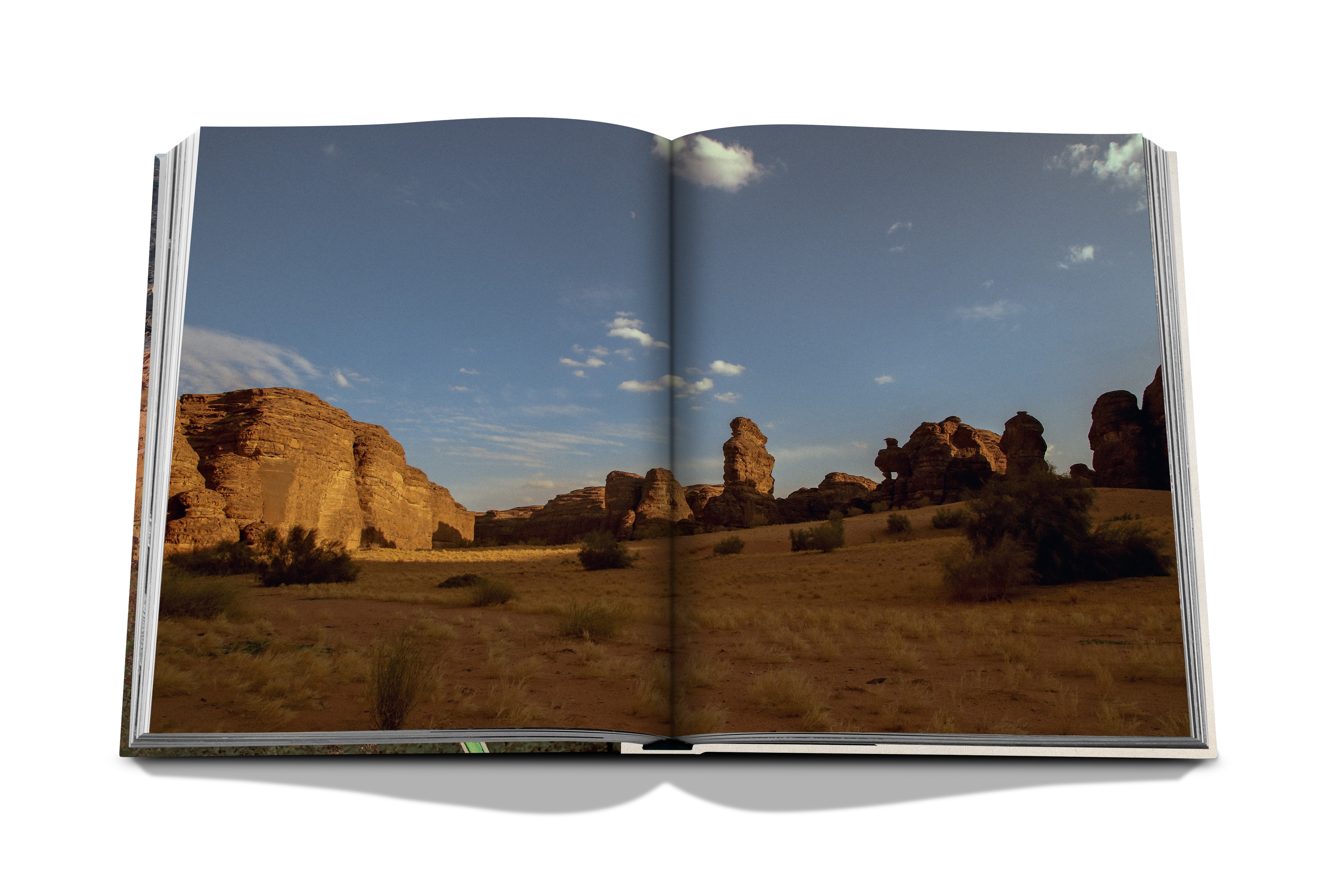 Alula flora (english) 16