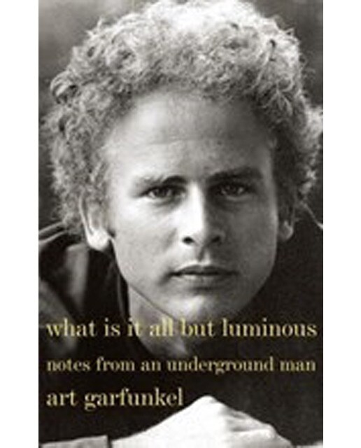 What Is It All But Luminous 1