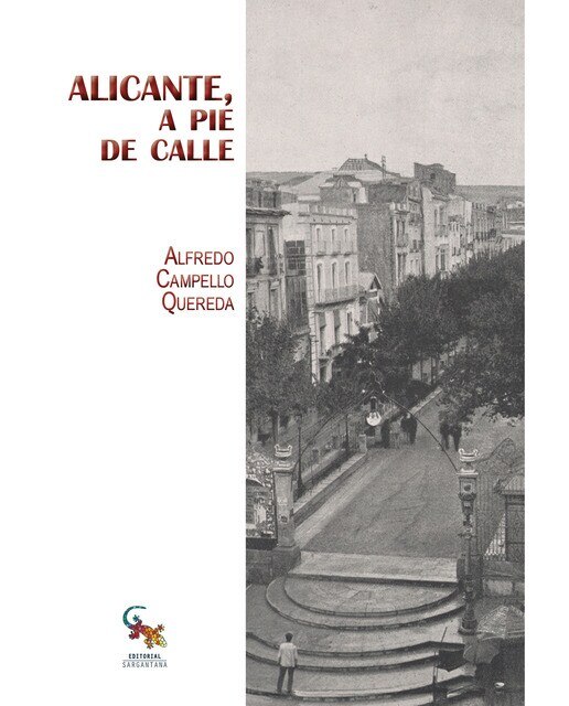 Imagen 0 de Alicante, a pie de calle (Tapa blanda)
