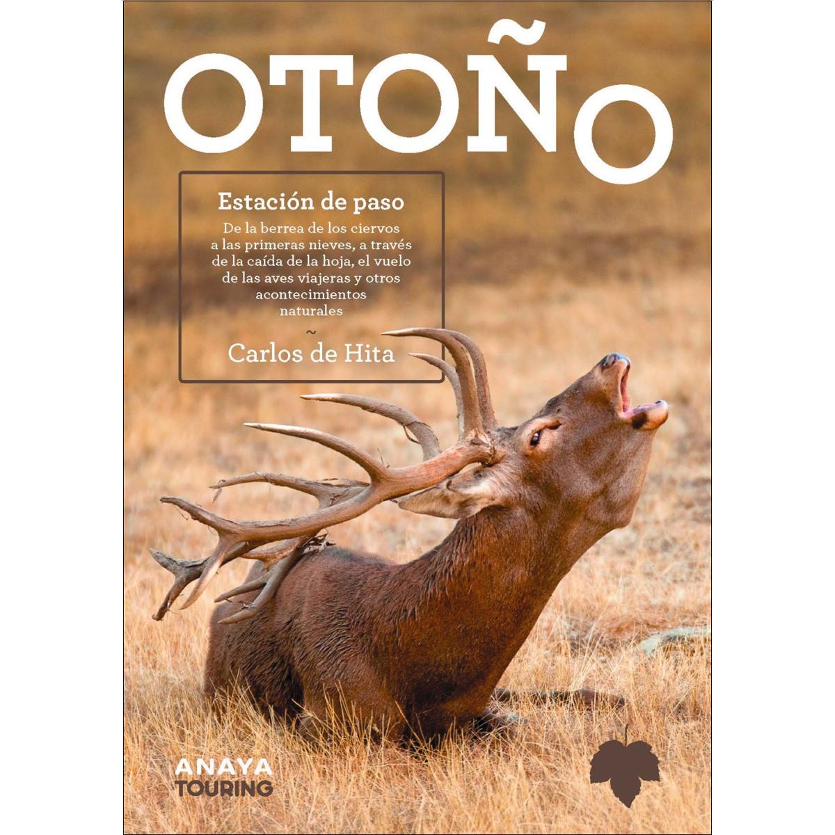 Imagen 0 de Otoño: Estación de paso  (Tapa blanda con solapas)