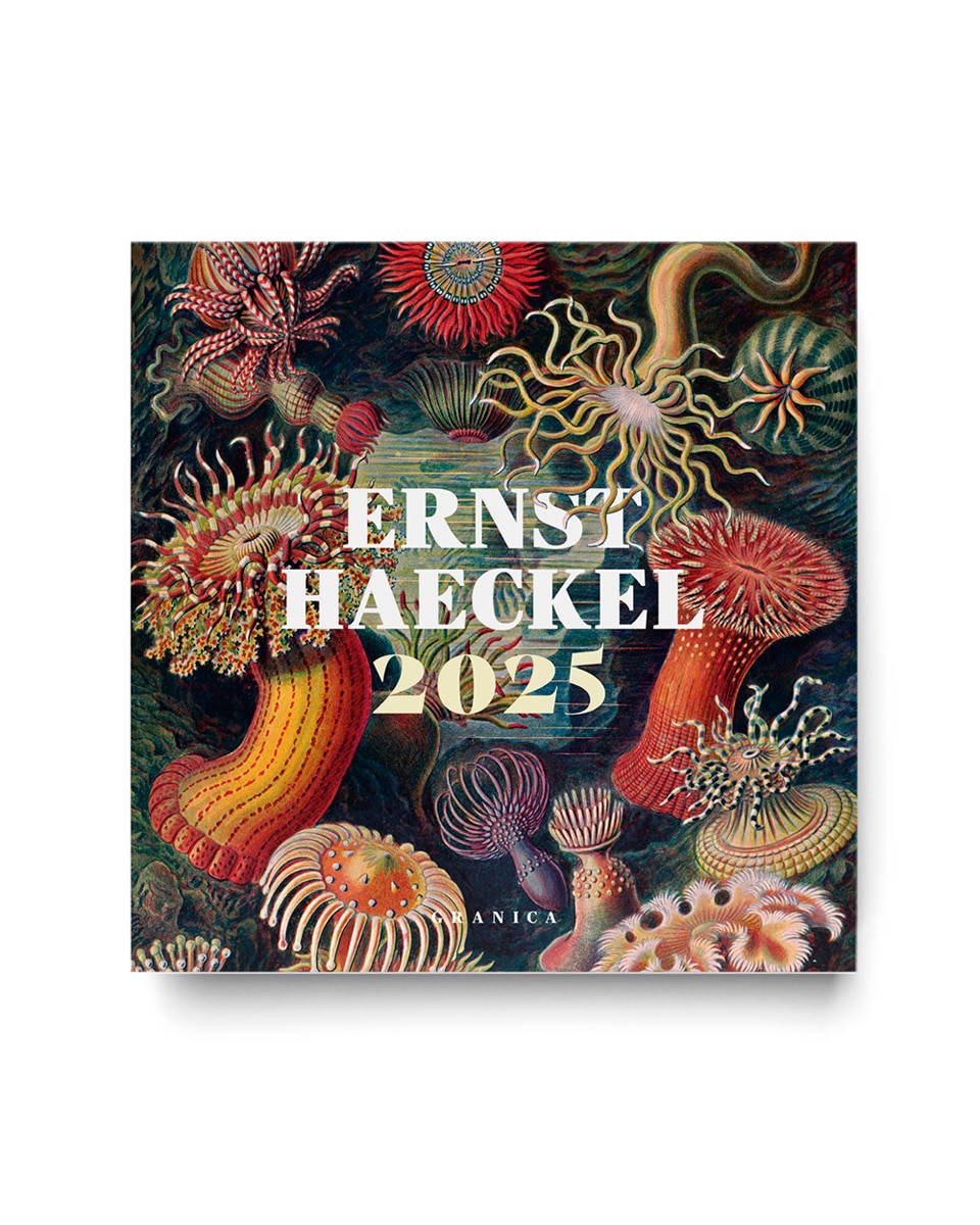 Ernst Haeckel 2025, Calendario de Pared 1