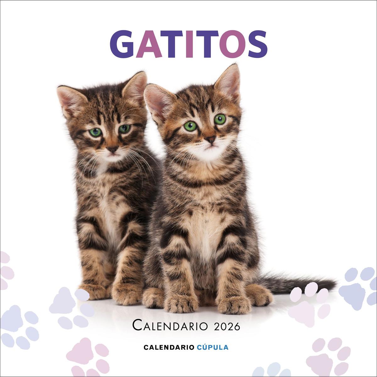 Calendario Gatitos 2026 1