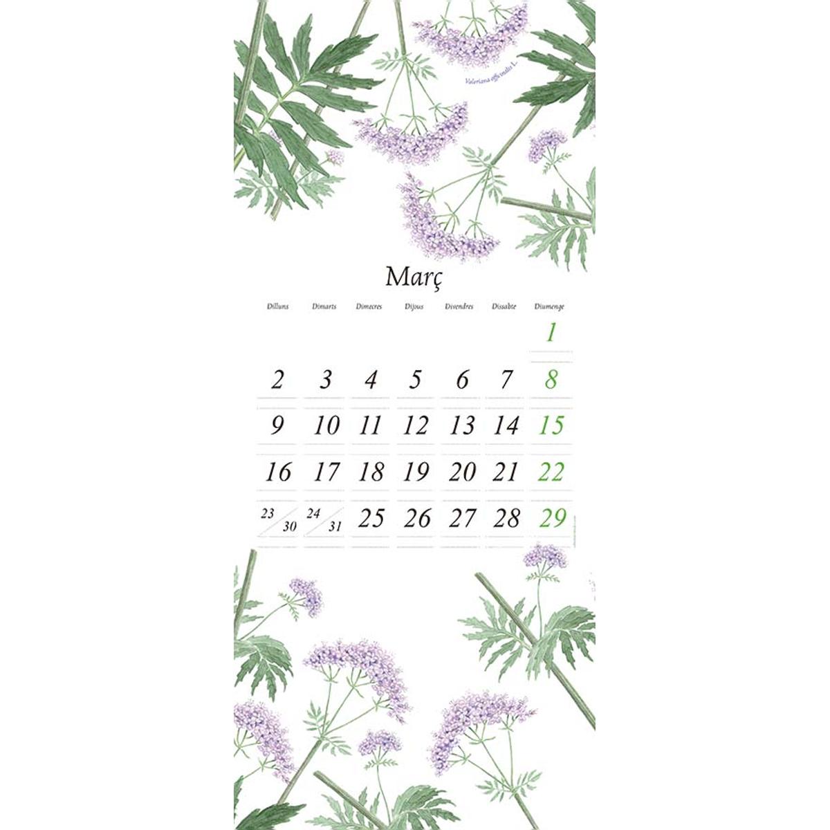 Calendari Flora 2026 (Capa mole) 3