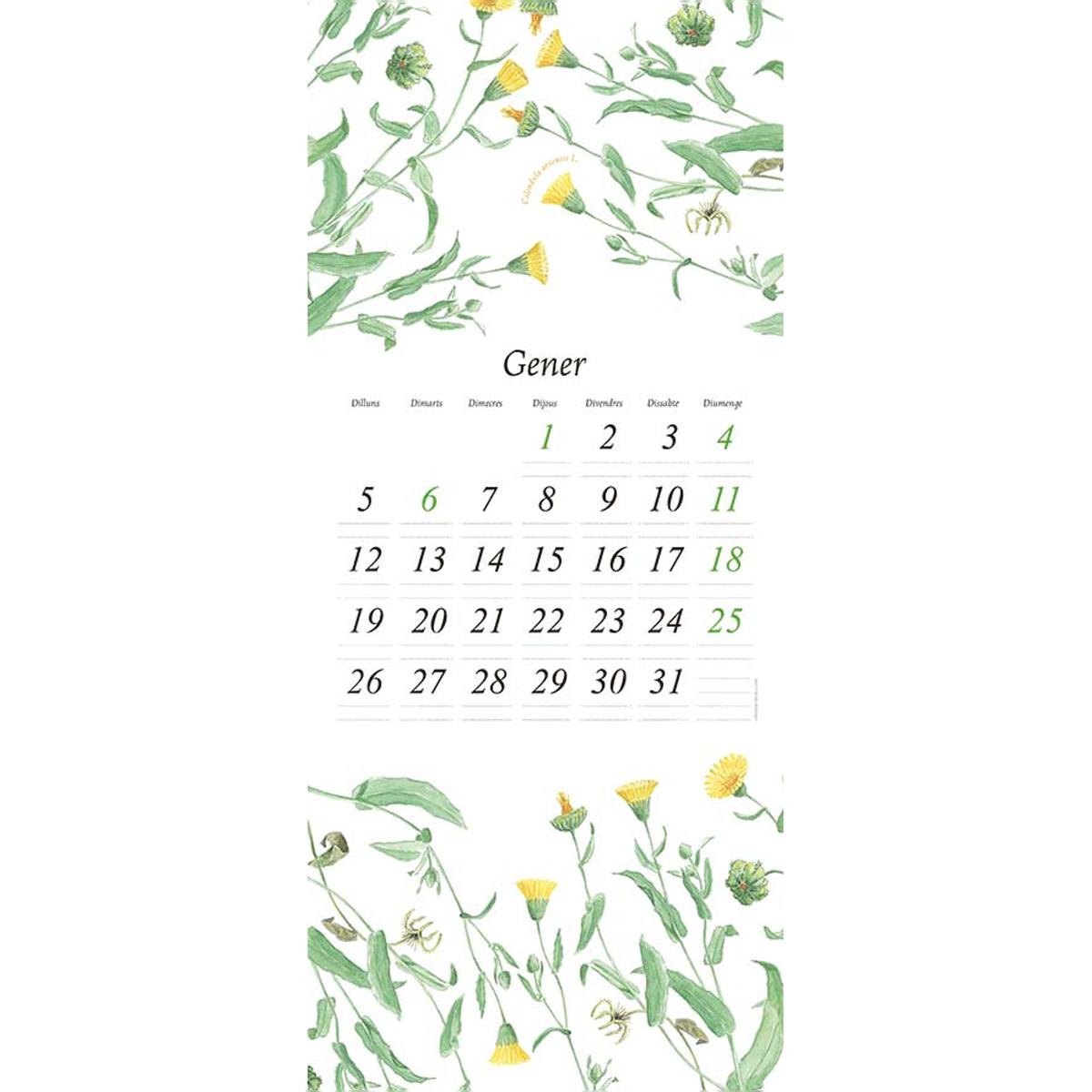 Calendari Flora 2026 (Capa mole) 4