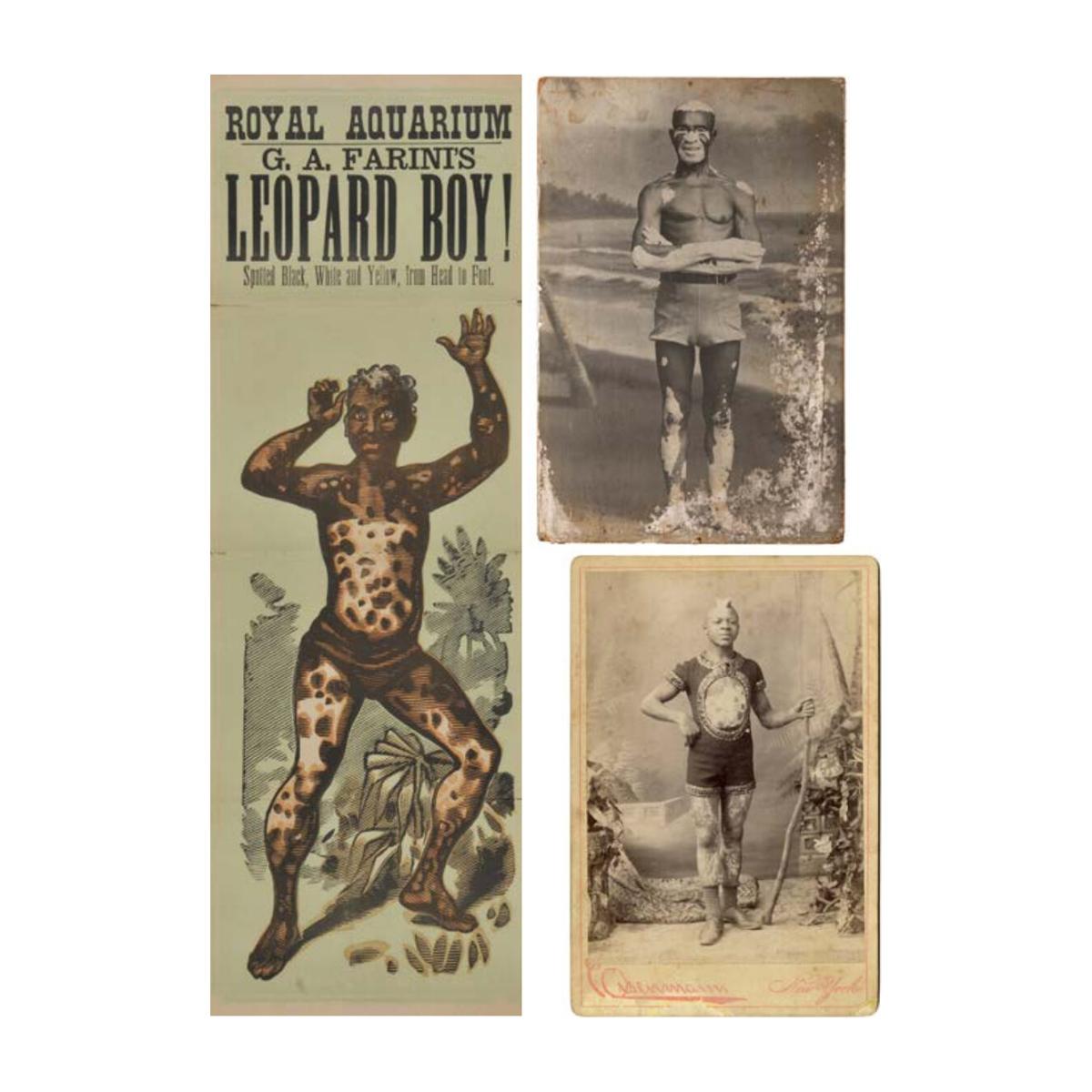 FERIA DE MONSTRUOS. (Capa dura) 7