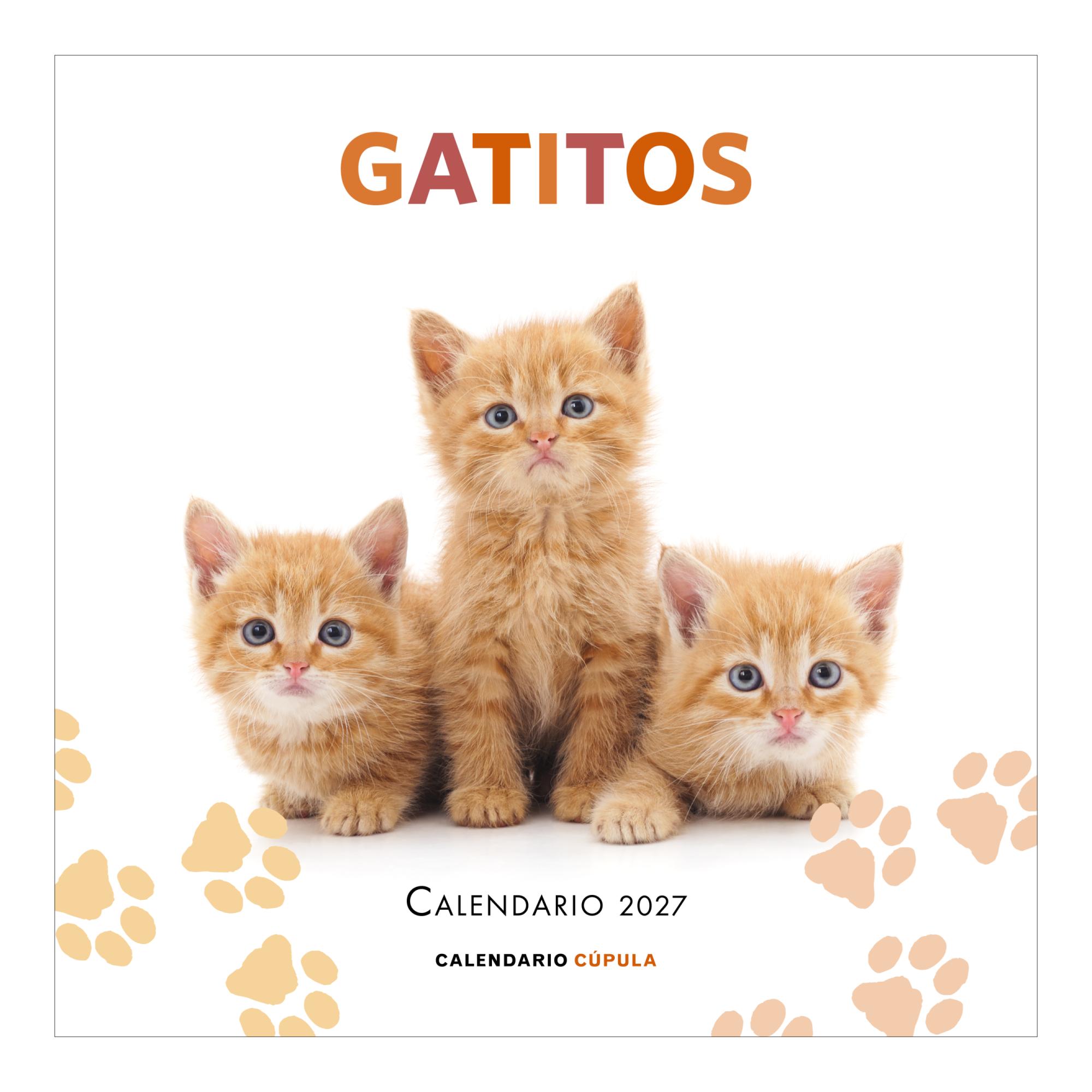 Imagem 0 de Calendario gatitos 2027
