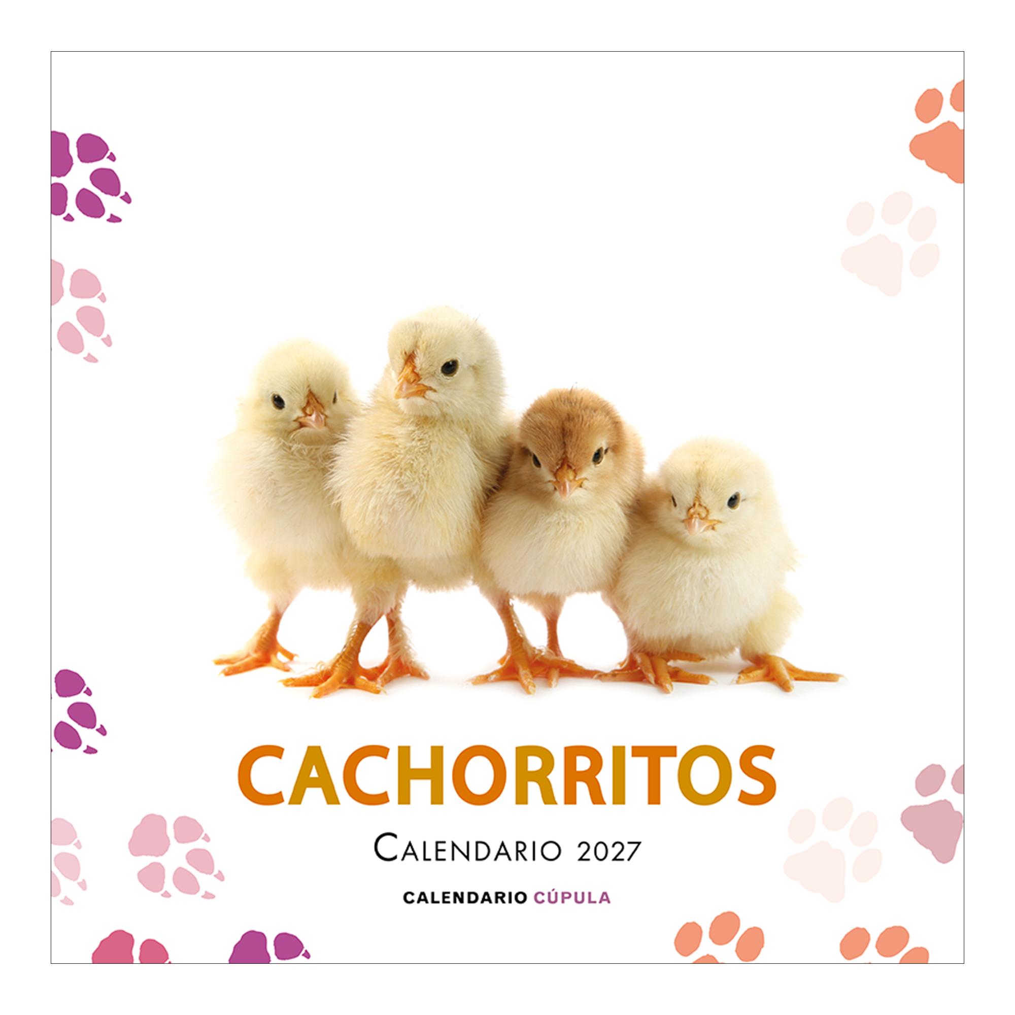 Imagem 0 de Calendario cachorritos 2027