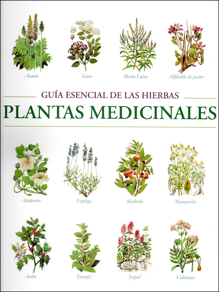 Imagem 0 de El mundo de las plantas medicinales(Tapa blanda)