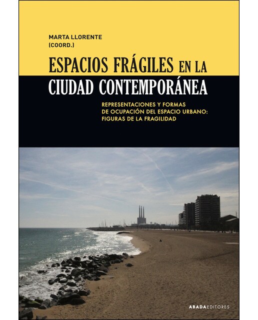 Espacios frágiles en la ciudad contemporánea: Representaciones y formas de ocupación del espacio urbano: figuras de la fragilidad(Tapa blanda) 1