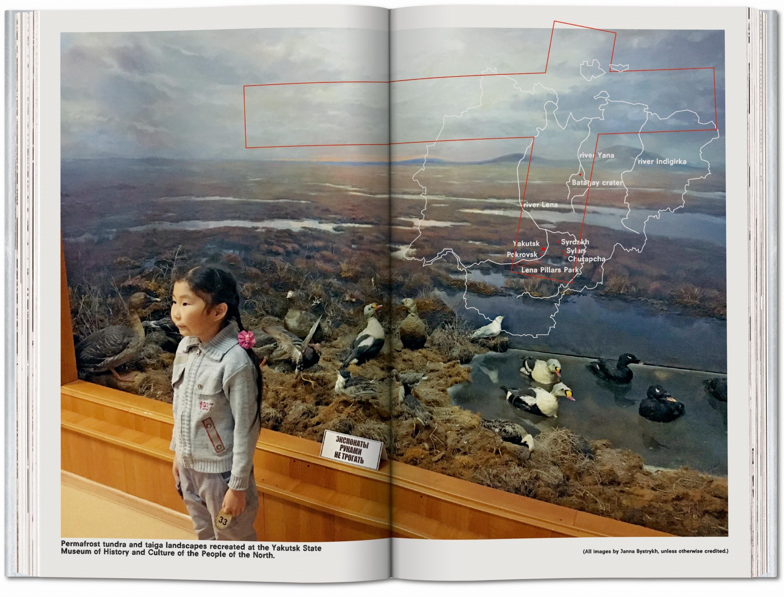 Koolhaas. Countryside, A Report (Capa mole) 8