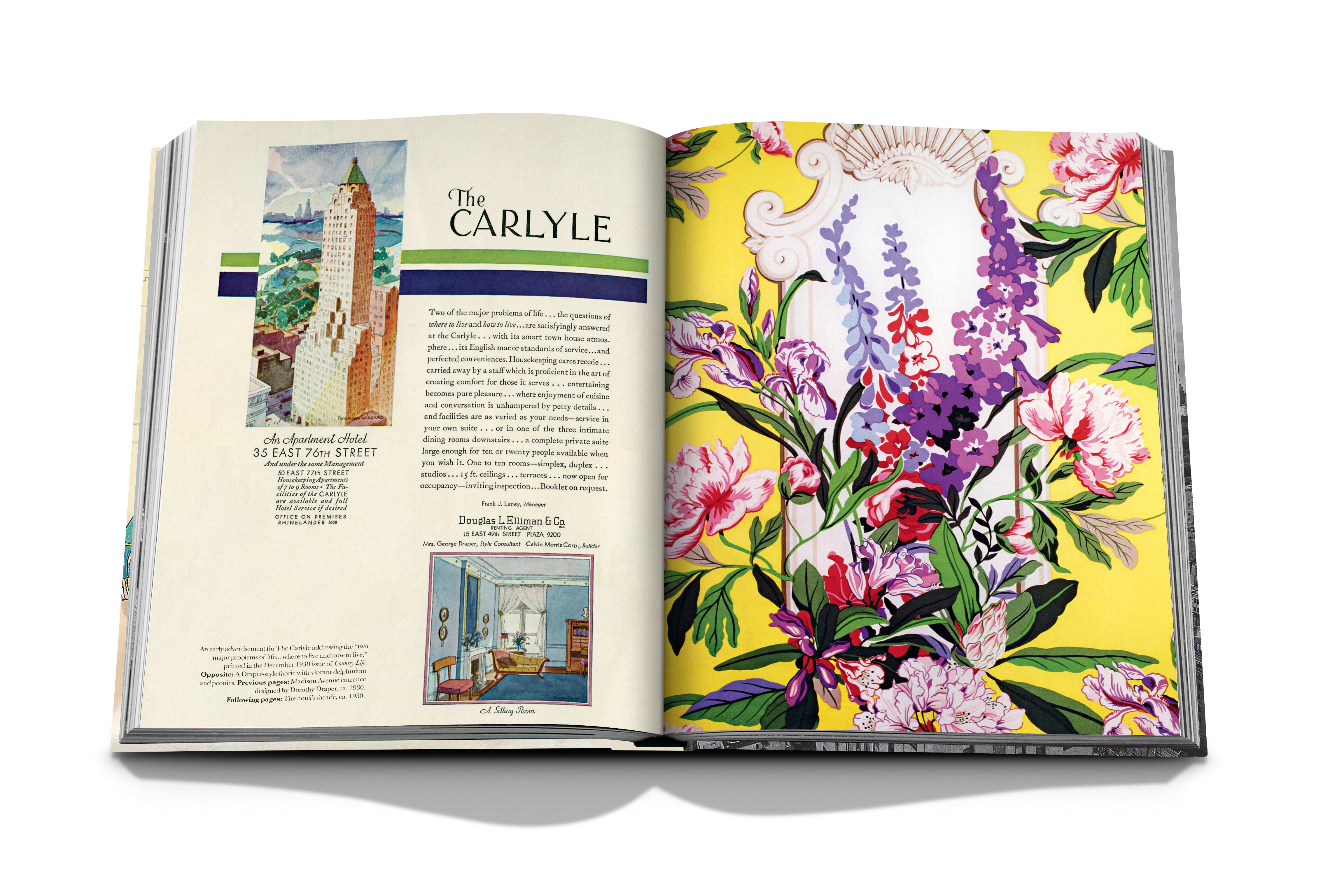 The carlyle 5
