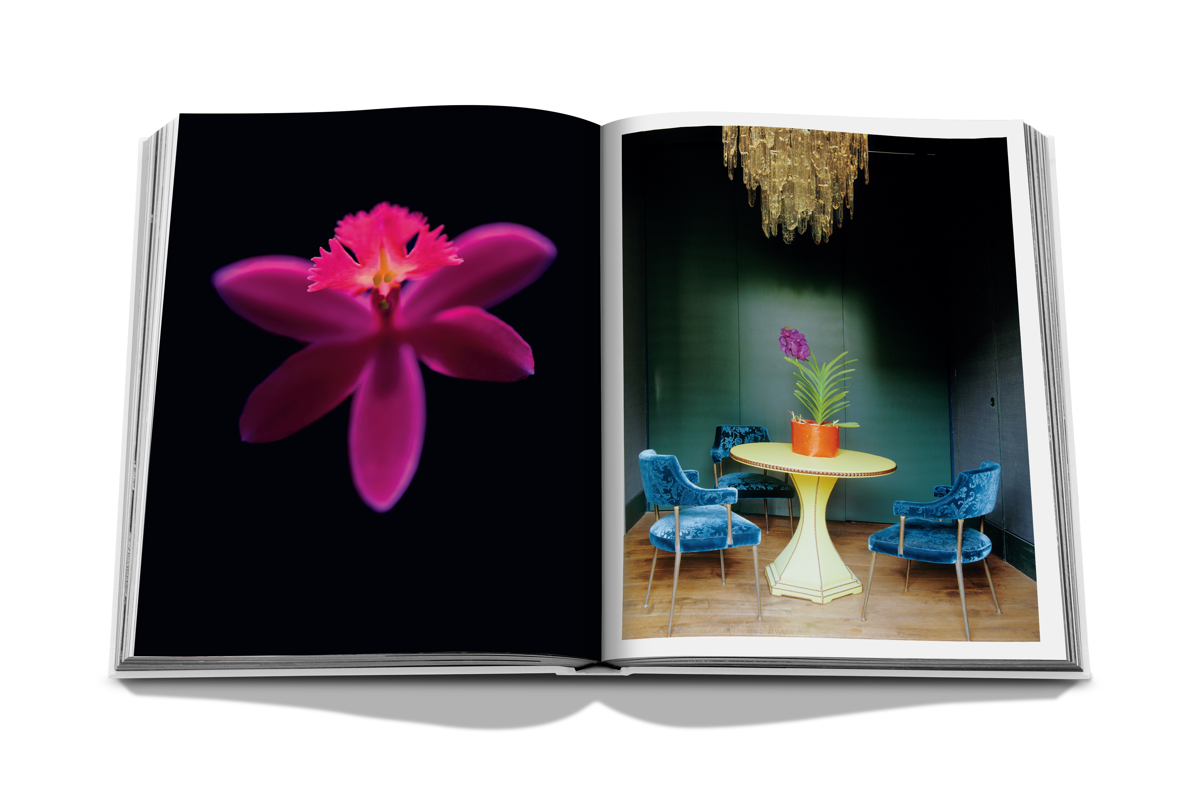 Bouquets, art & design [french] 5
