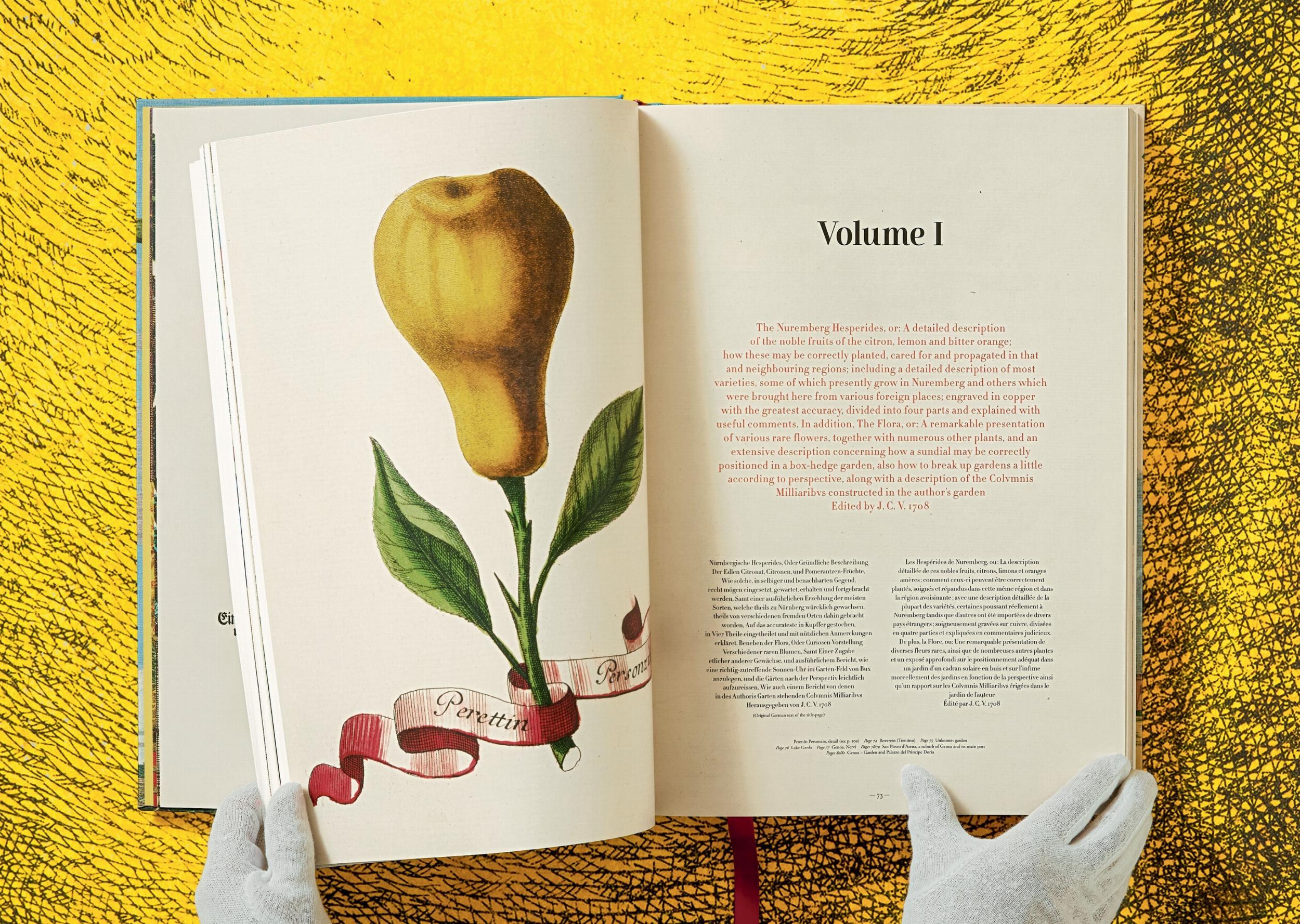 J. C. Volkamer. The Book of Citrus Fruits (Capa dura) 6