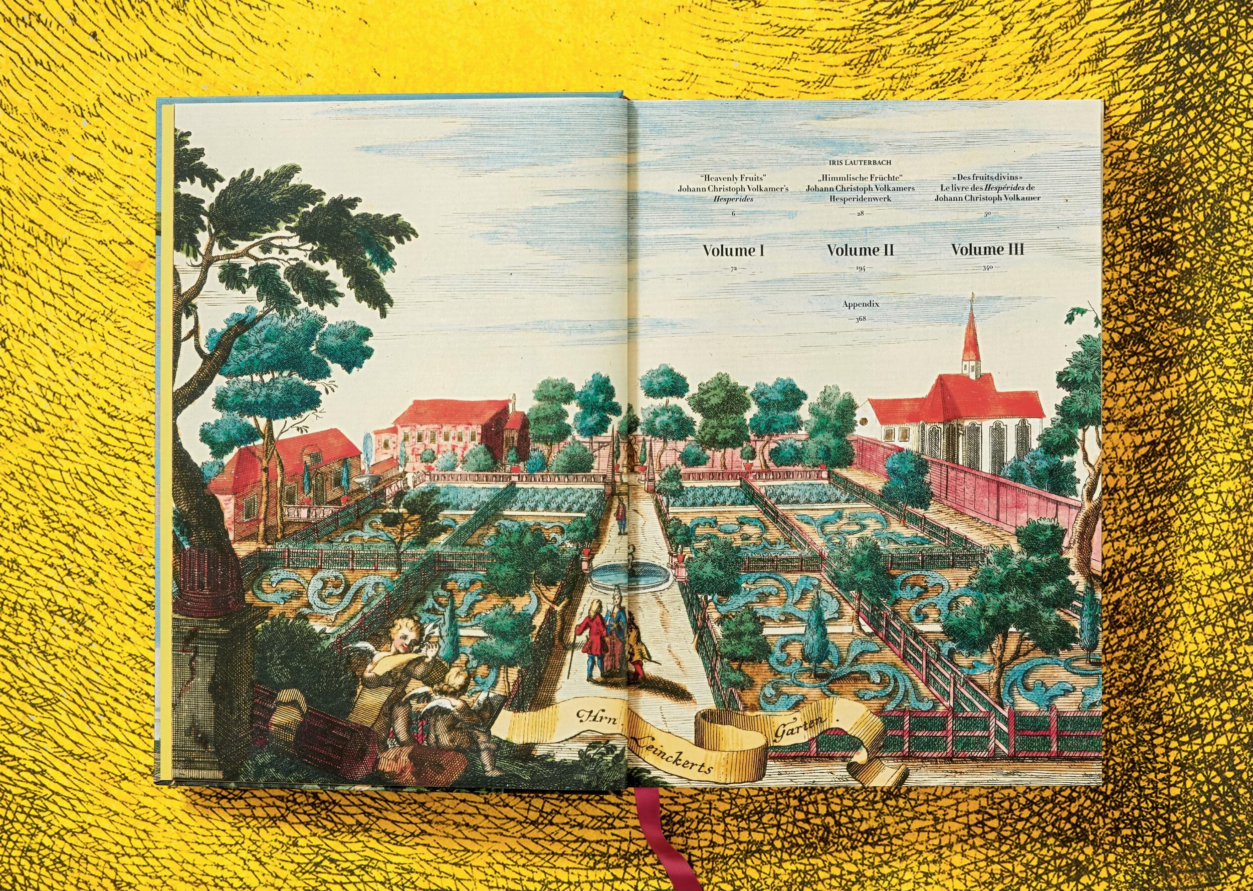 J. C. Volkamer. The Book of Citrus Fruits (Capa dura) 7