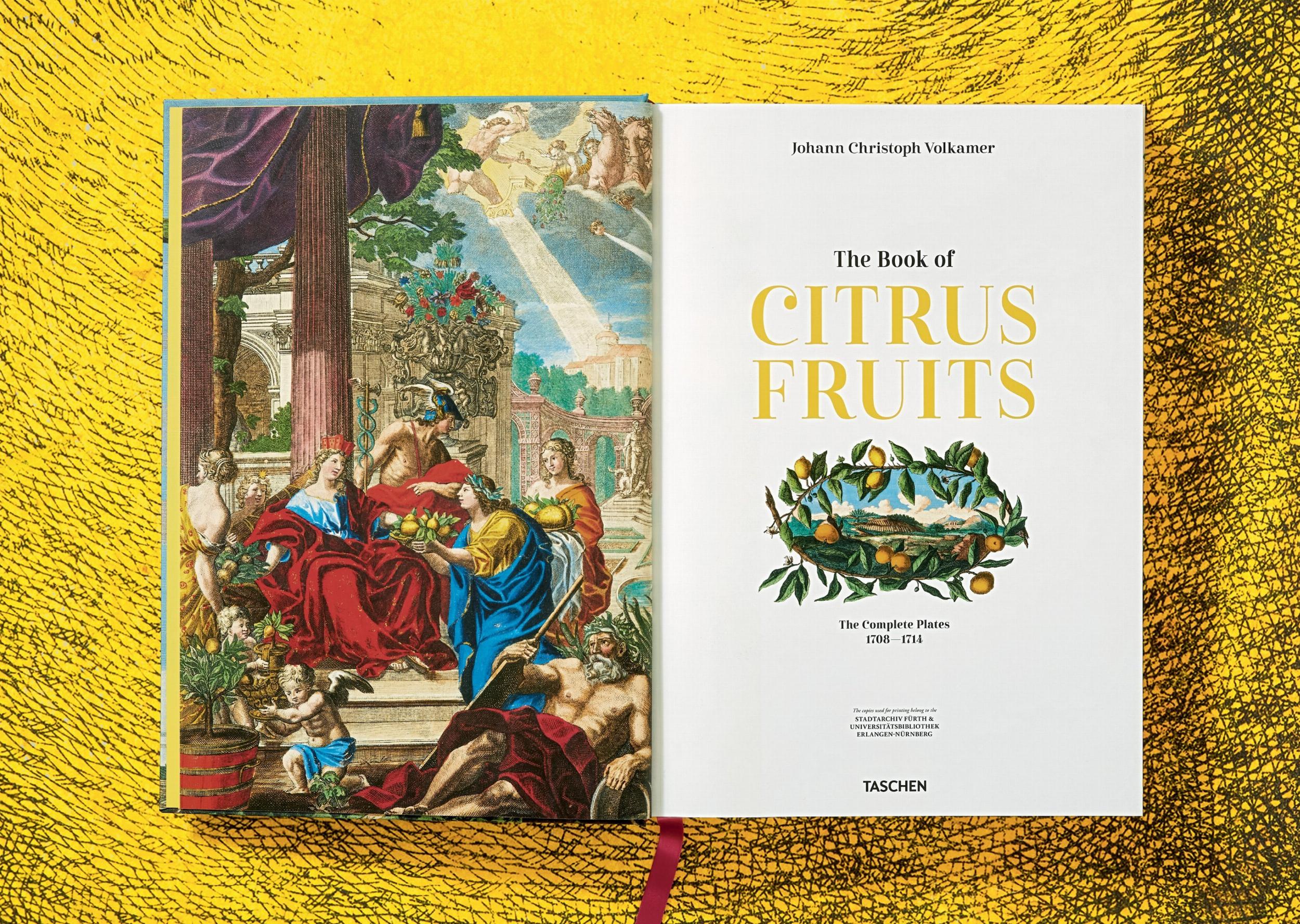 J. C. Volkamer. The Book of Citrus Fruits (Capa dura) 8