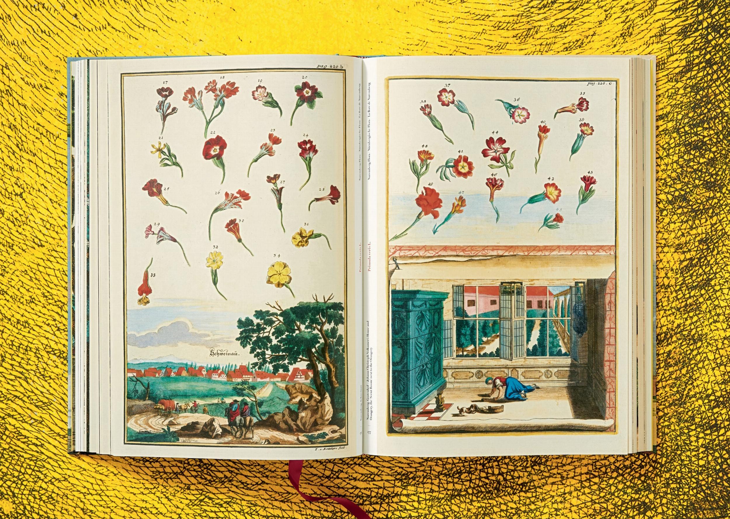 J. C. Volkamer. The Book of Citrus Fruits (Capa dura) 13