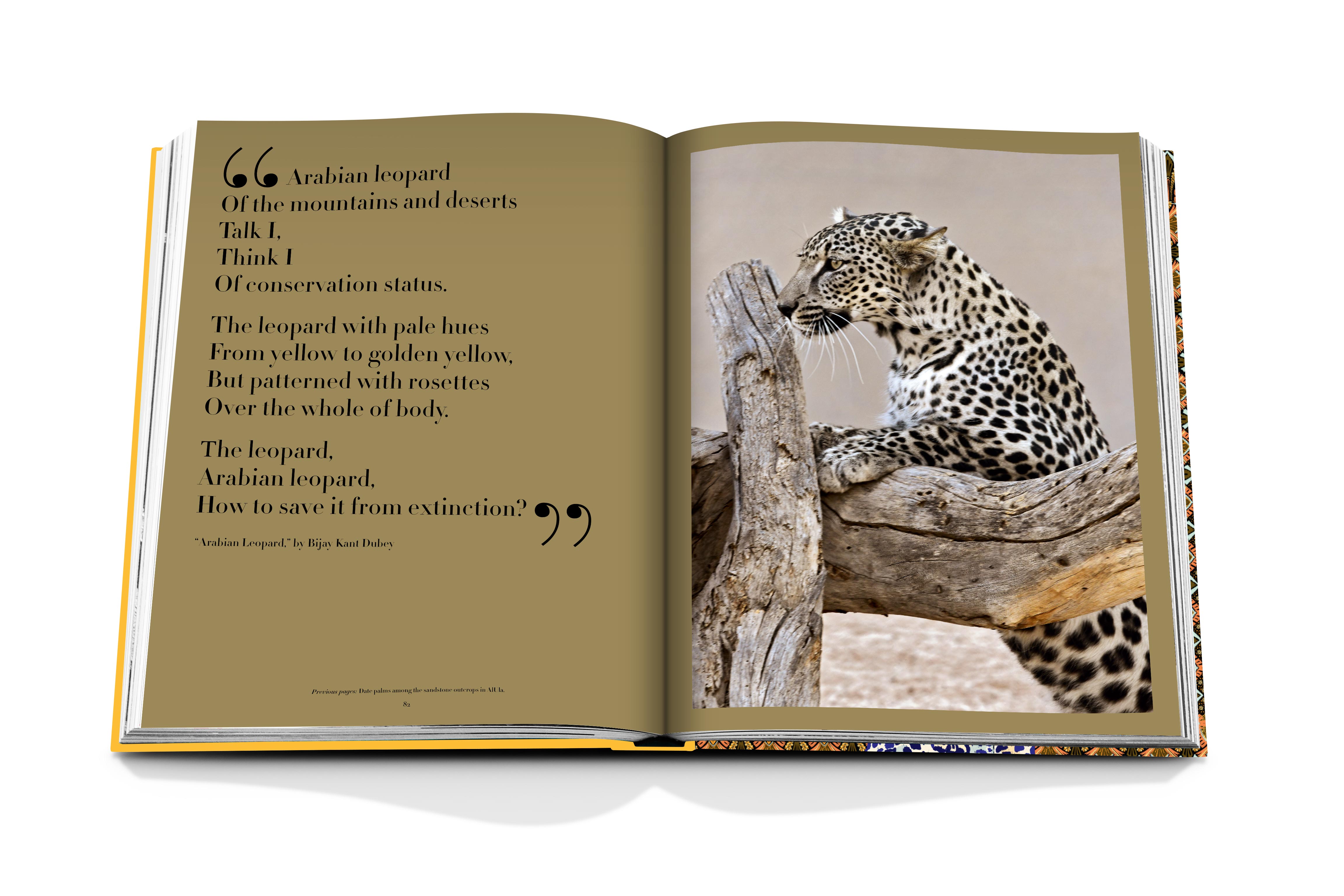 Arabian leopard 6