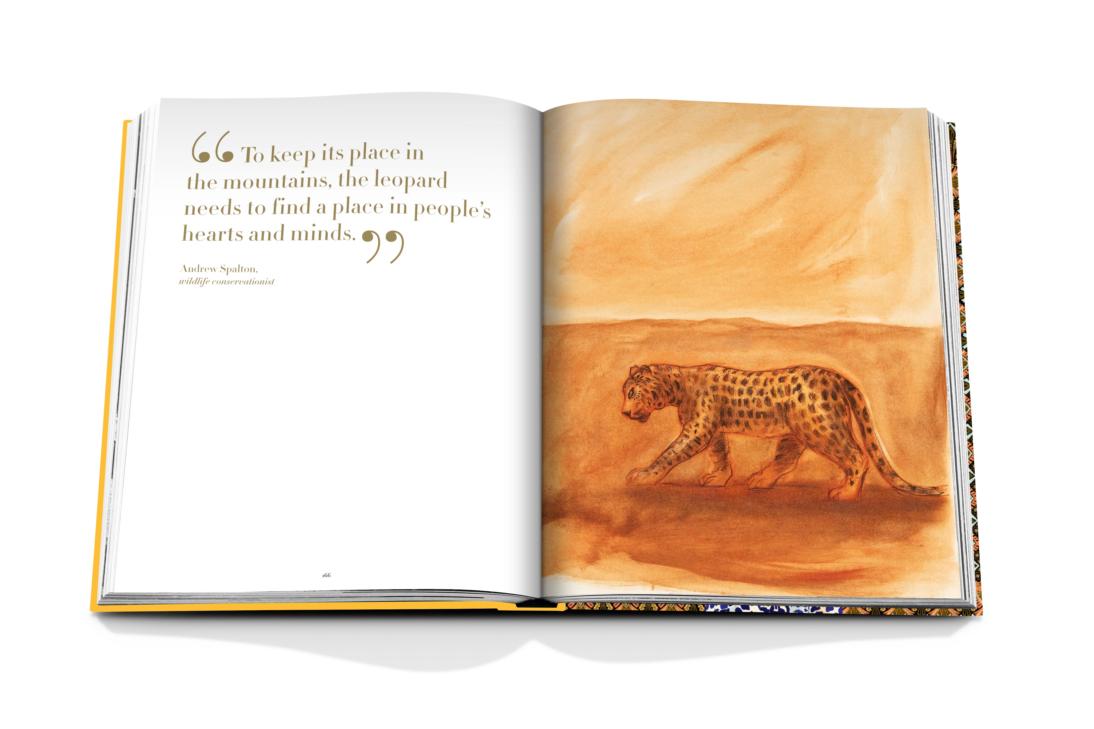 Arabian leopard 10