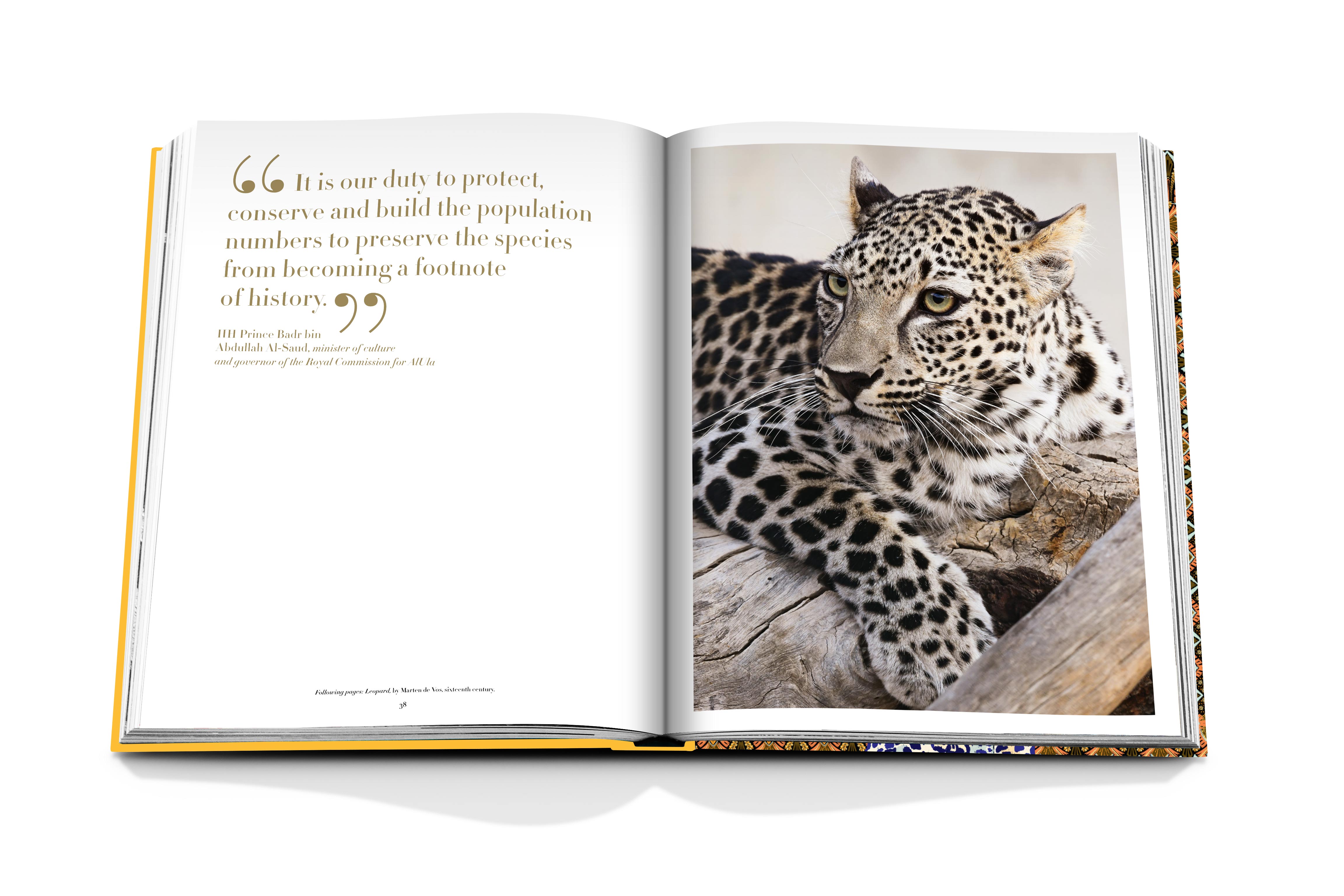 Arabian leopard 12