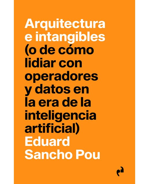 ARQUITECTURA E INTANGIBLES 1