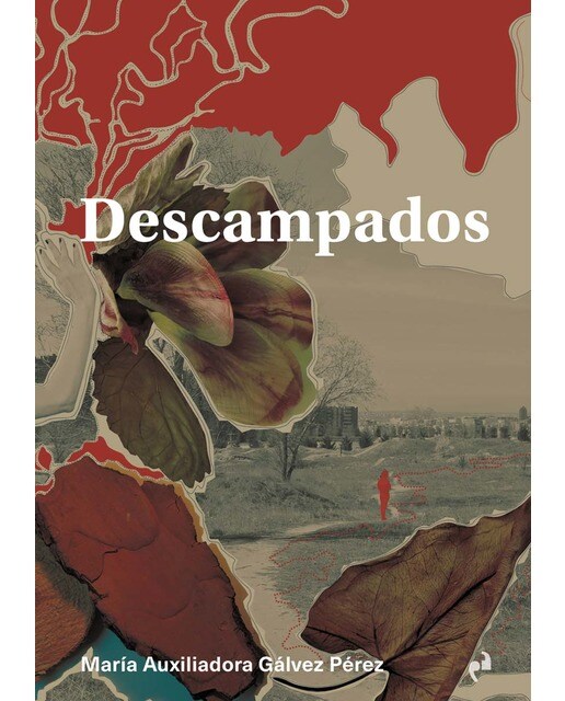 DESCAMPADOS: CAMINAR LOS PAISAJES REVOLUCIONARIOS EN LA CIUDAD SOMÁTICA 1
