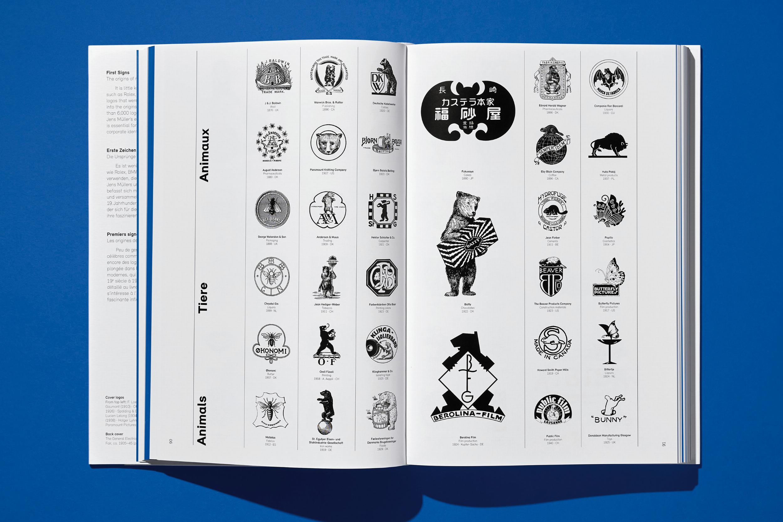 Logo Beginnings (Capa dura) 11