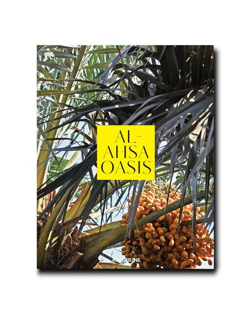 Al ahsa oasis 3