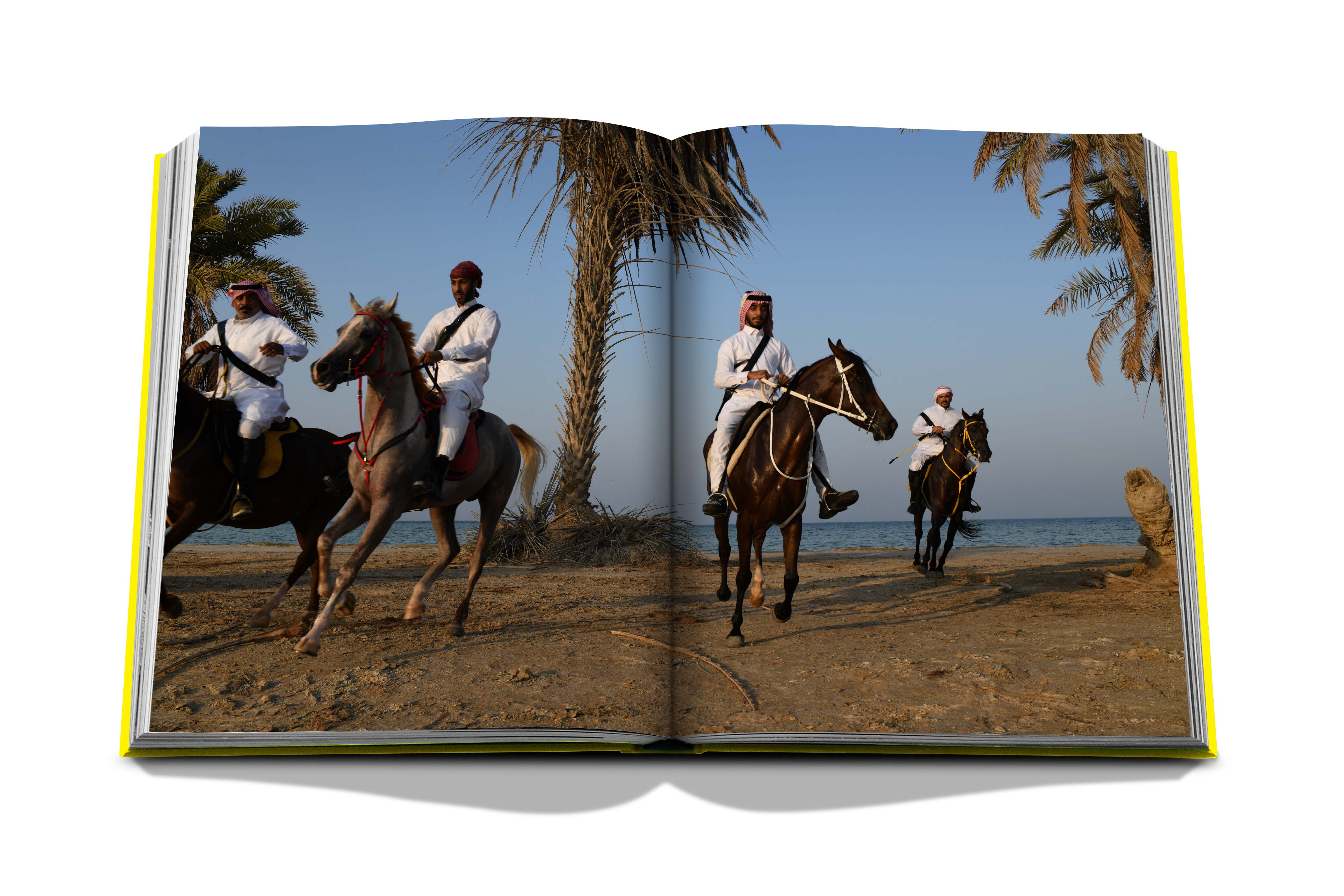 Al ahsa oasis 6