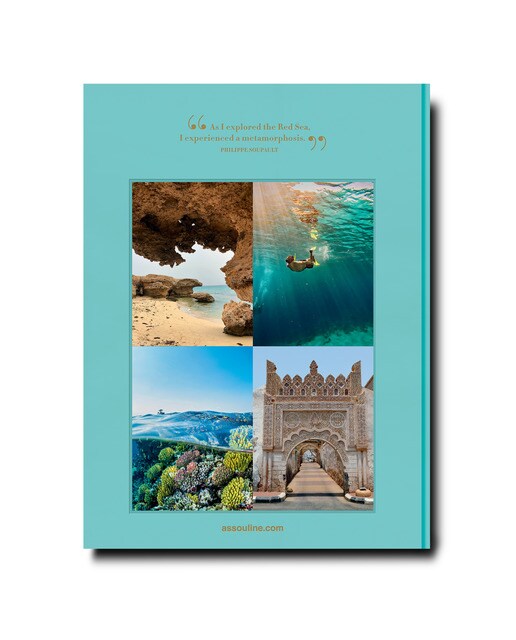 Red sea: the saudi coast 3