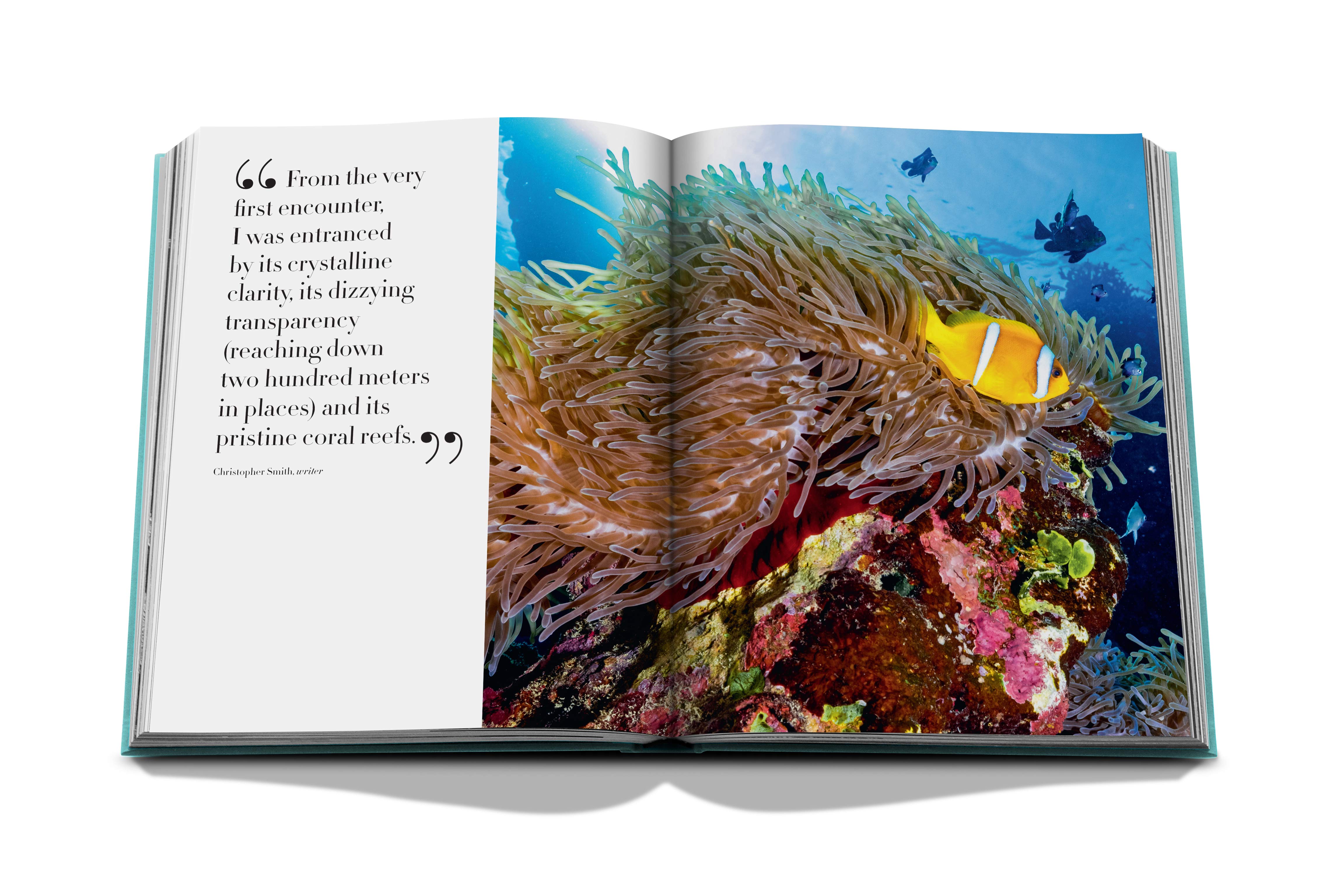 Red sea: the saudi coast 7
