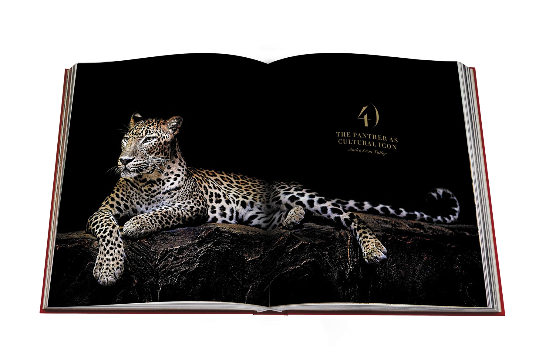 Cartier panthere 14