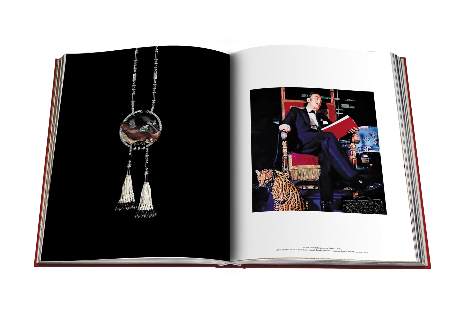 Cartier panthere 15