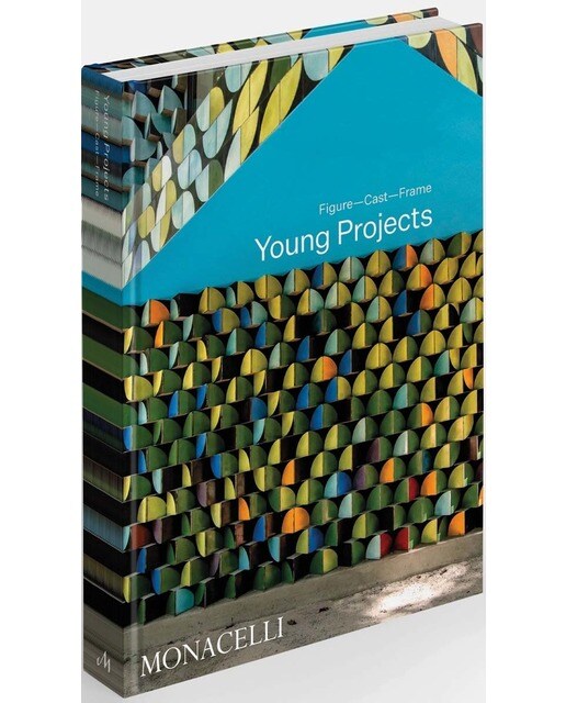 Young projects 1