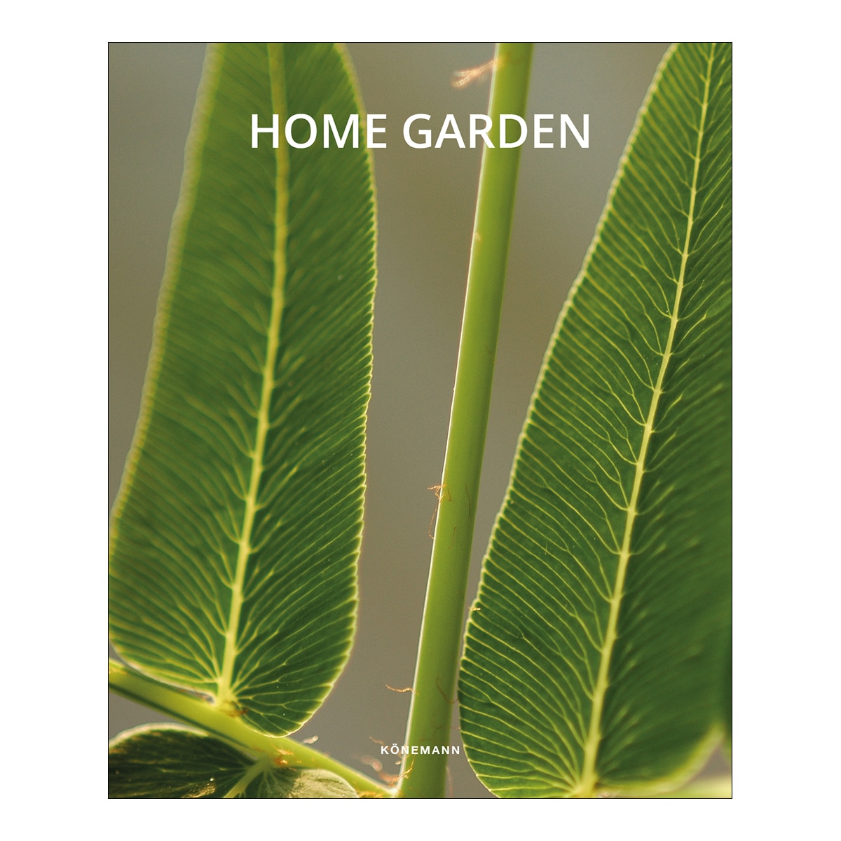 Home garden 1