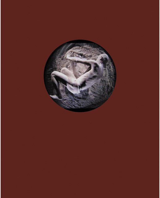The void: In photography, film, performance, and installation(Tapa dura) 1
