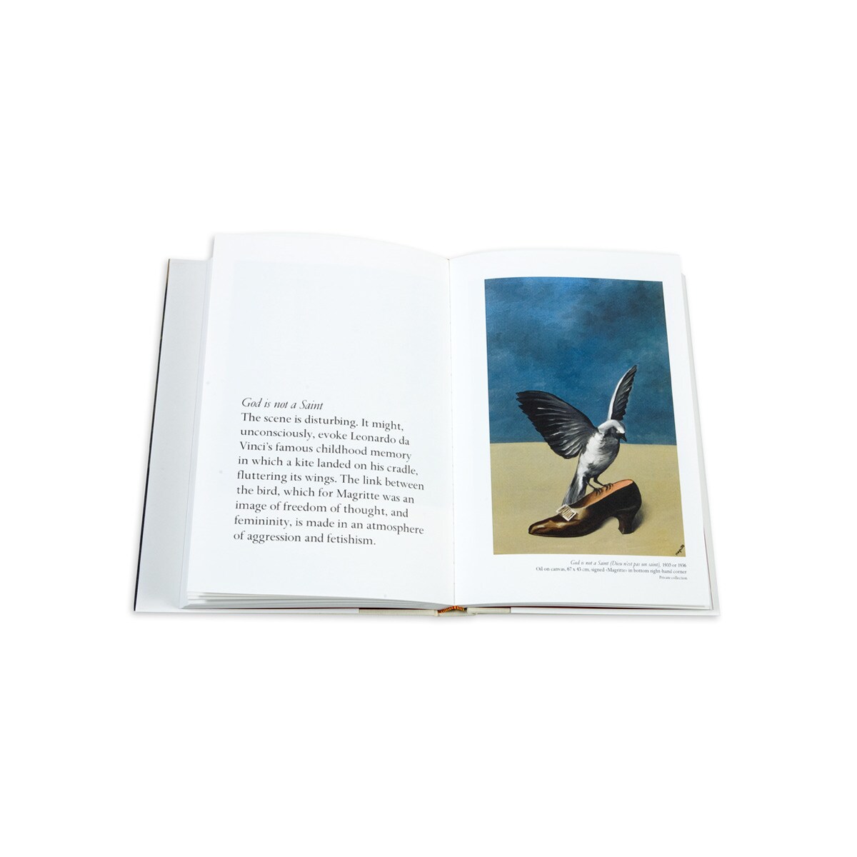 René magritte, l'empire des images [french] 2