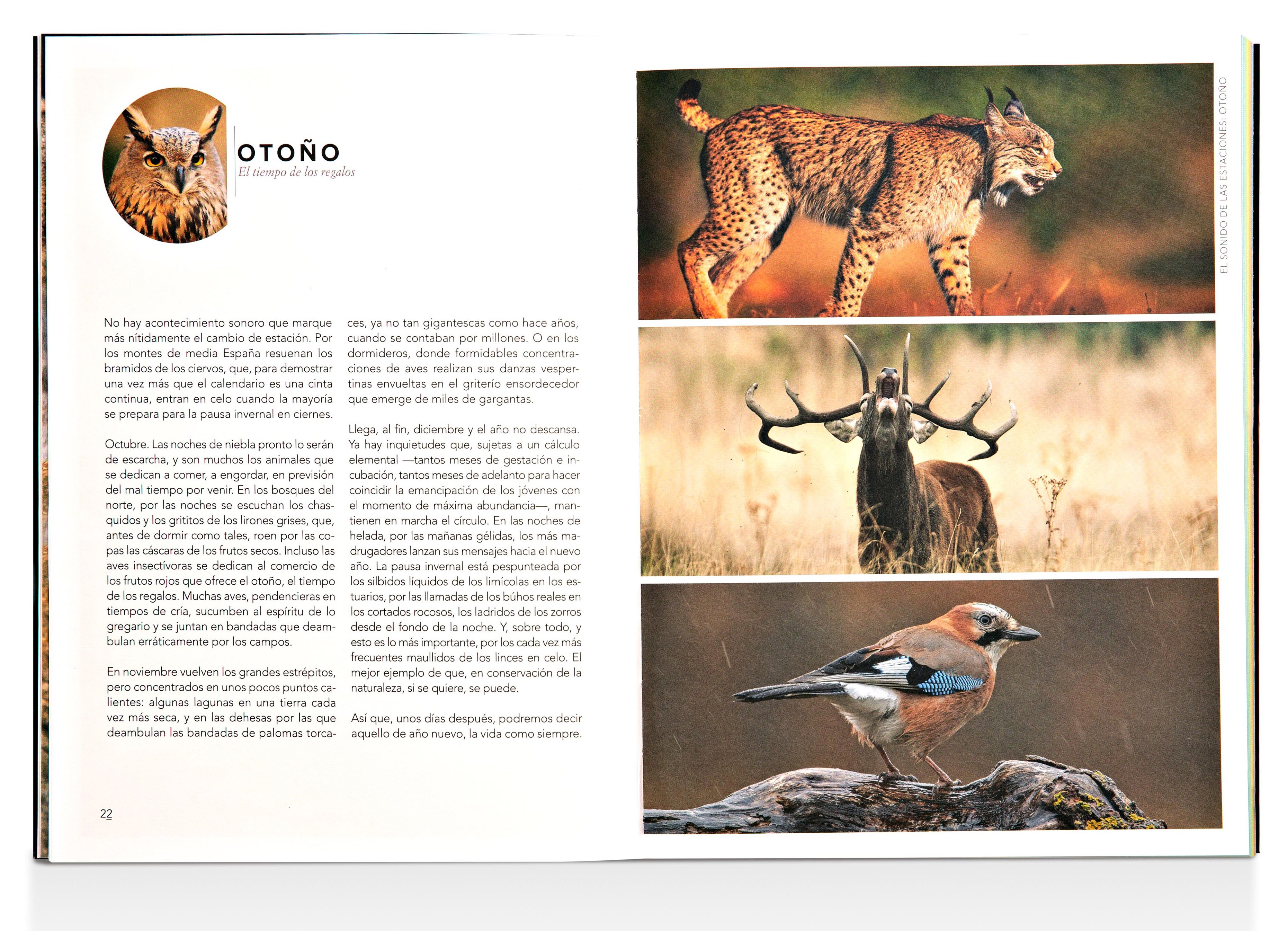 El sonido de la Naturaleza: Calendario sonoro de los paisajes de España  (Tapa blanda con solapas) 3