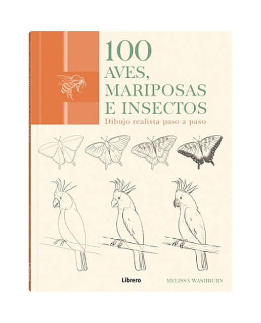 100 aves, mariposas e insectos: Dibujo realista paso a paso