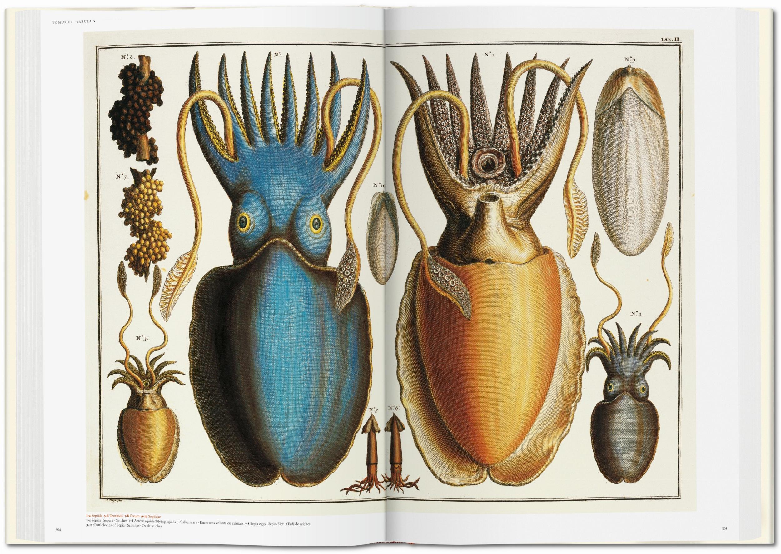 Seba. Cabinet of Natural Curiosities (Capa dura) 2