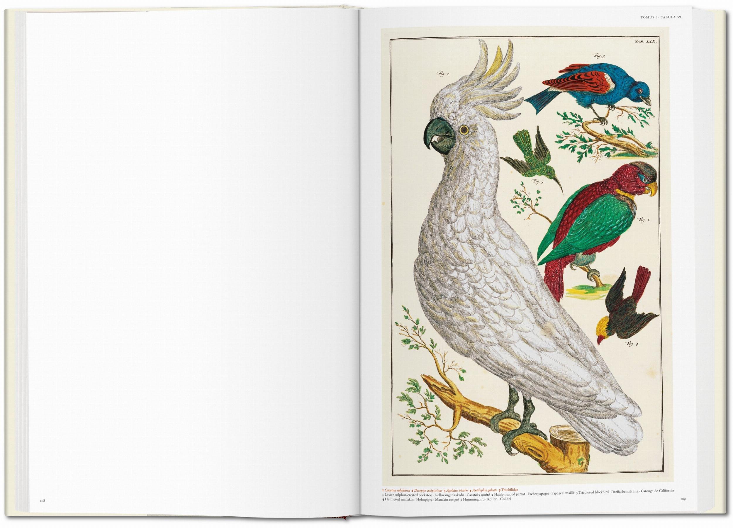 Seba. Cabinet of Natural Curiosities (Capa dura) 3