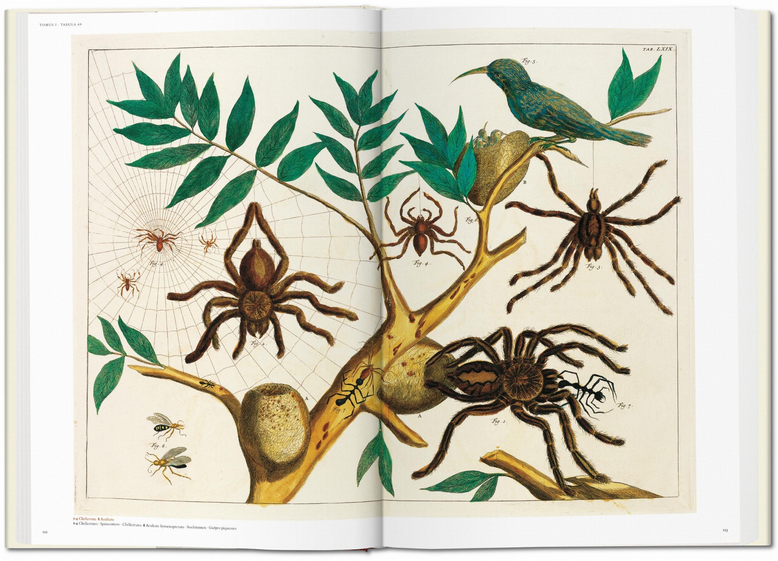 Seba. Cabinet of Natural Curiosities (Capa dura) 4