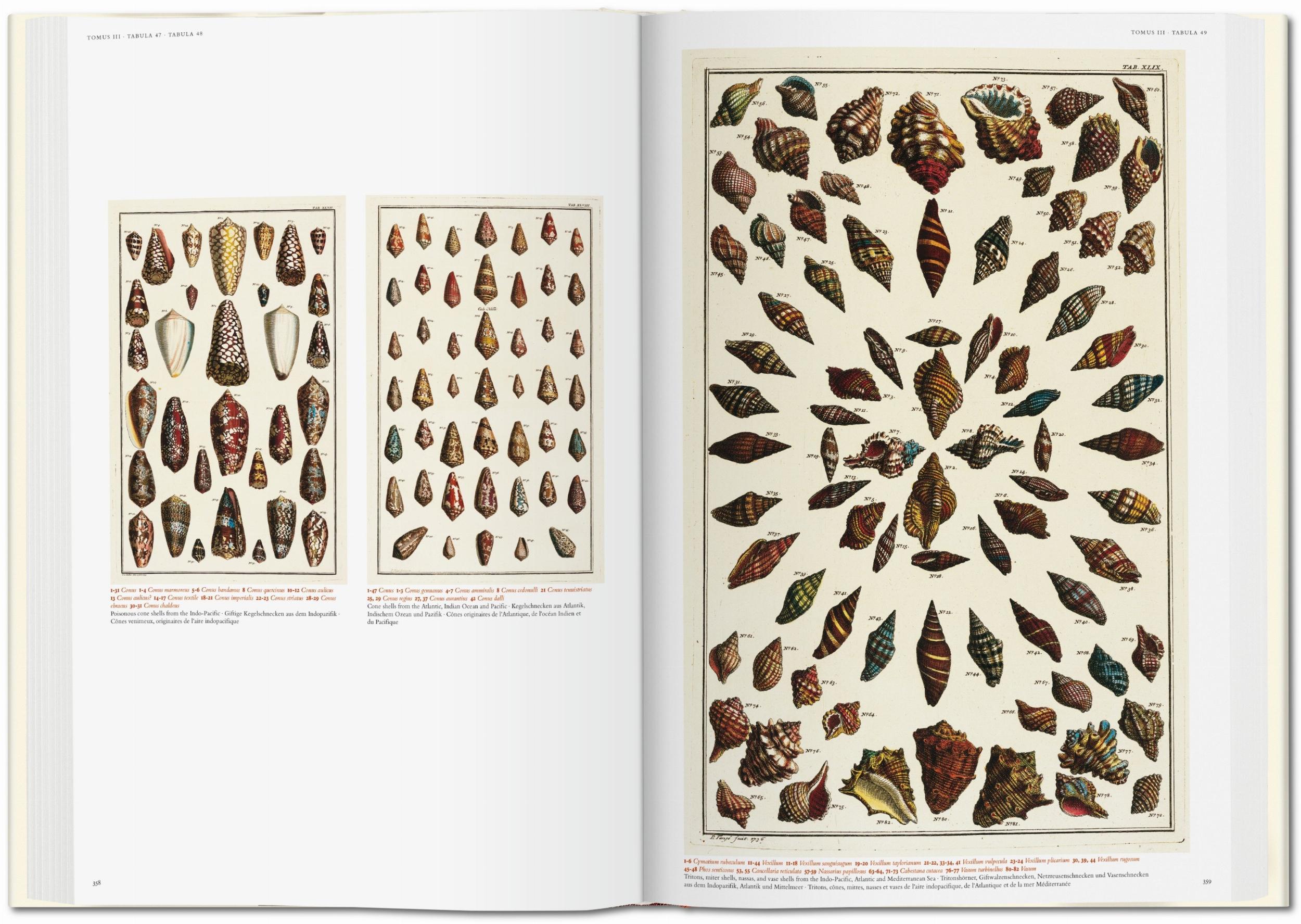 Seba. Cabinet of Natural Curiosities (Capa dura) 7