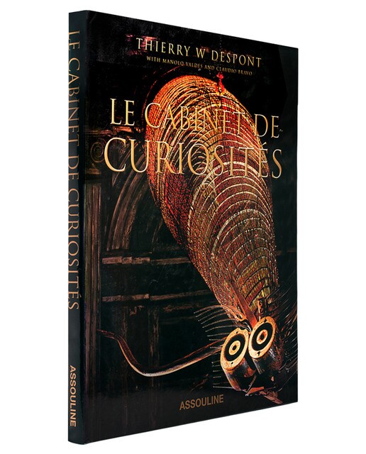 Le cabinet de curiosités 1