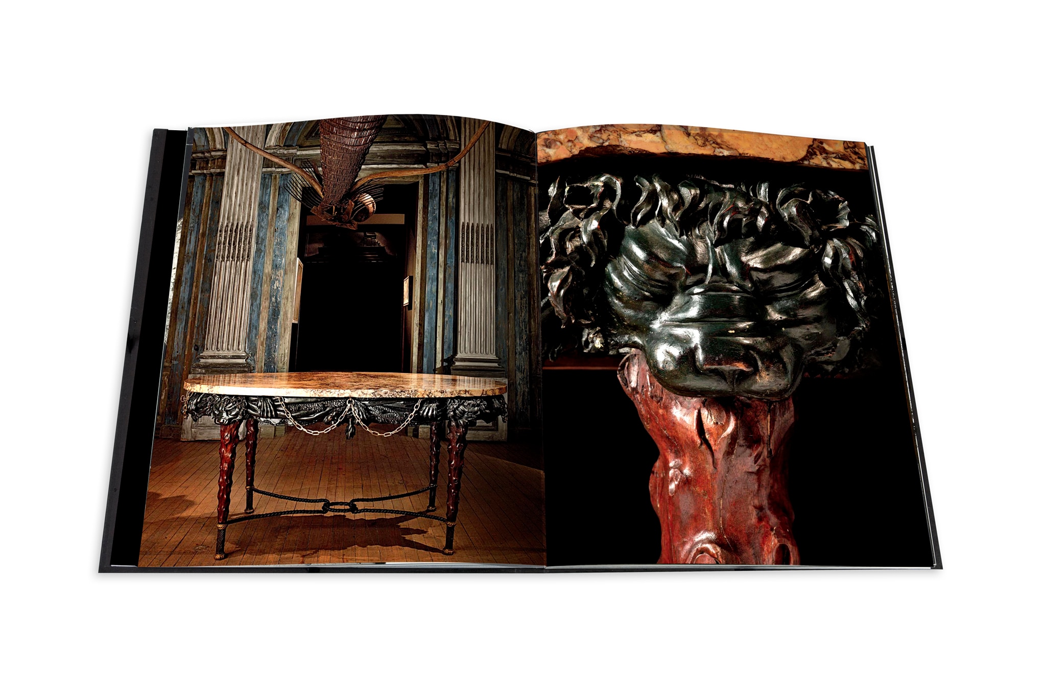 Le cabinet de curiosités 6