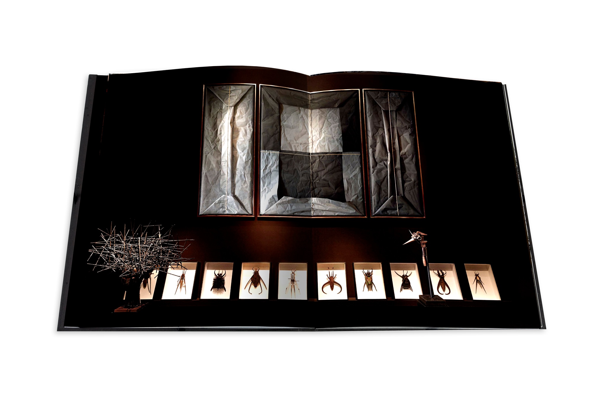 Le cabinet de curiosités 8