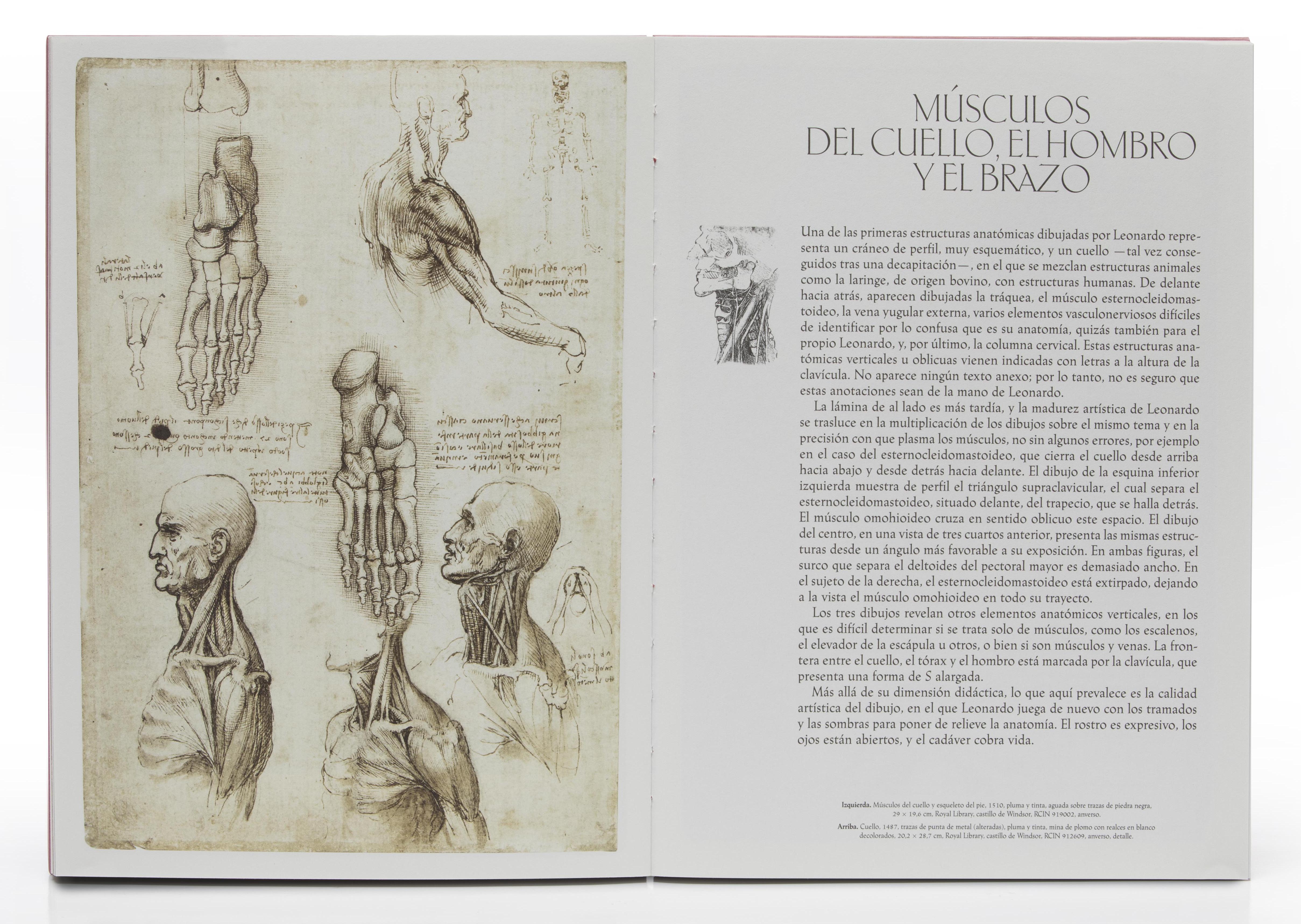Leonardo da Vinci. La aventura anatómica (Capa dura) 4