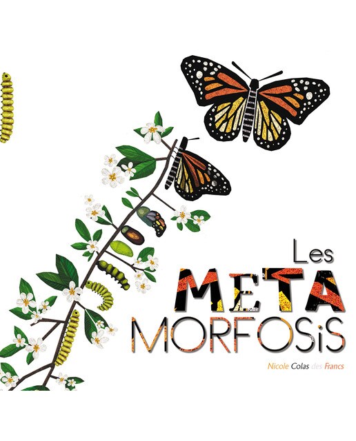Les metamorfosis 1