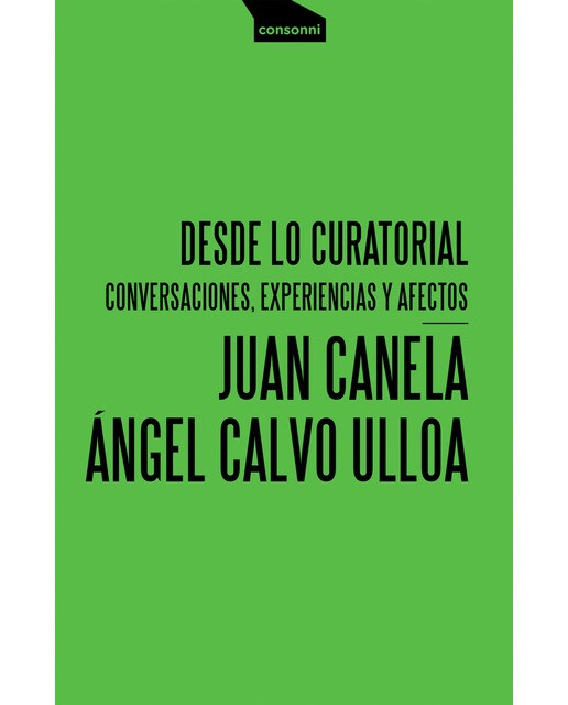 Desde lo curatorial: Conversaciones, experiencias y afectos(Tapa blanda) 1